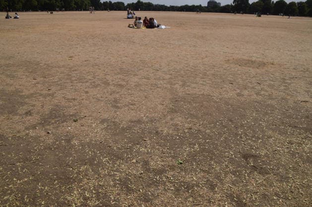 England, drought in London’s Hyde Park