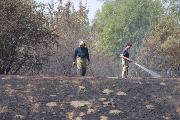Belgium: Impressions following the forest fire in Bastogne