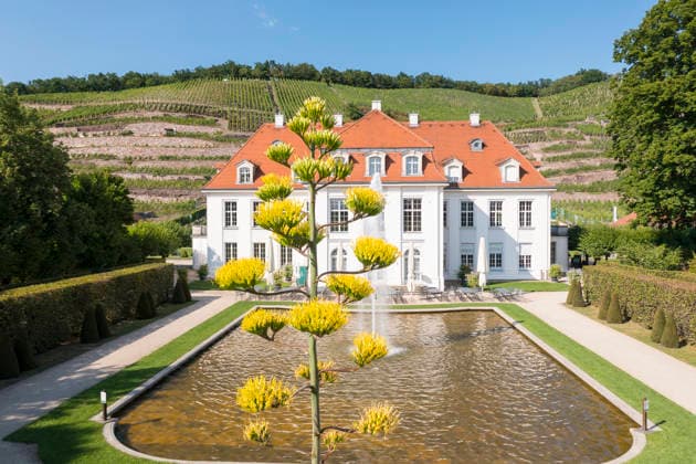 Saxony: the agave at Wackerbarth Castle is in bloom