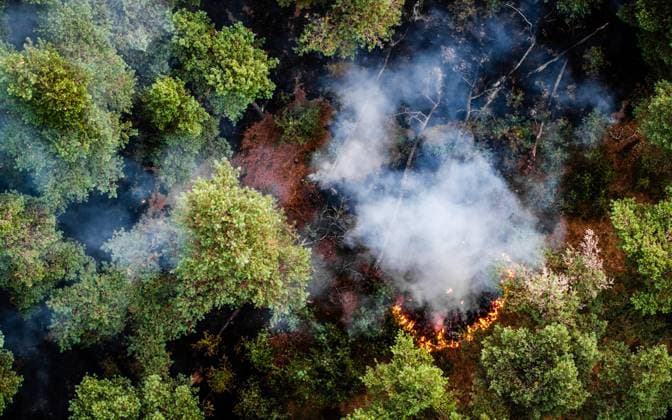 Netherlands, forest fire in the Rosmolen nature reserve near Oostrum