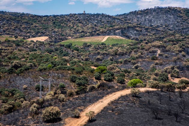 Spain: Fire damage in the Sierra Oeste following wildfires near Madrid