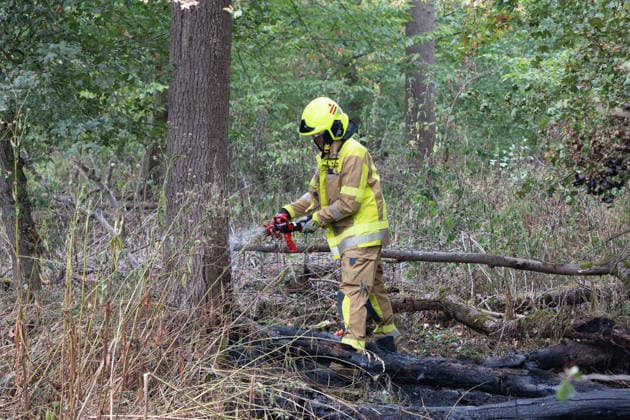 Hesse, forest fire near Gernsheim-Allmendfeld