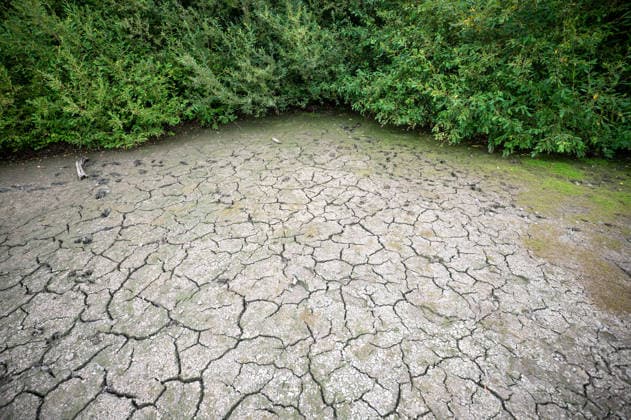United Kingdom: ongoing drought in Surrey