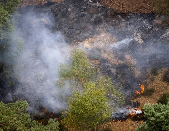Netherlands, forest fire in the Rosmolen nature reserve near Oostrum
