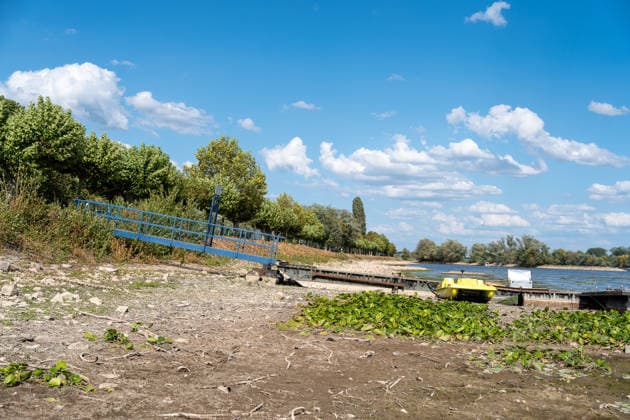 Hesse, low water levels in the Rhine near Oestrich-Winkel