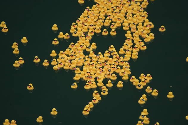 USA, rubber duck race on the Chicago River