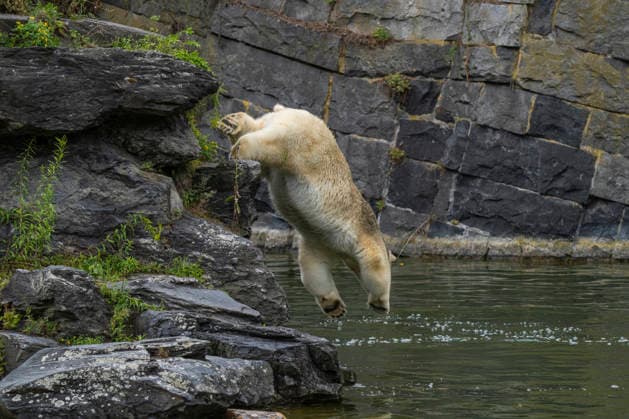 Entertainment: Pictures of the Day