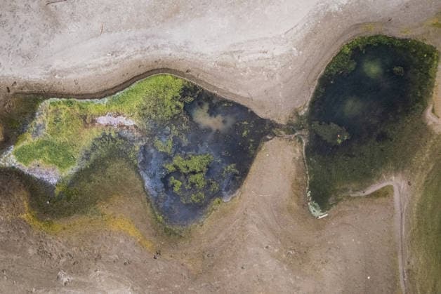 Croatia, low water levels on the Danube at Ilok