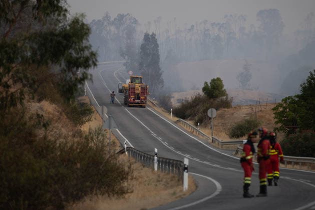Spain, forest fire in Niebla near Huelva