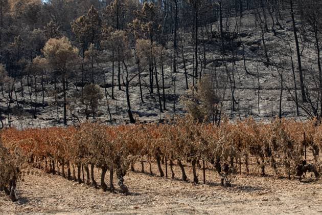 France, wildfires in the Var department, damage
