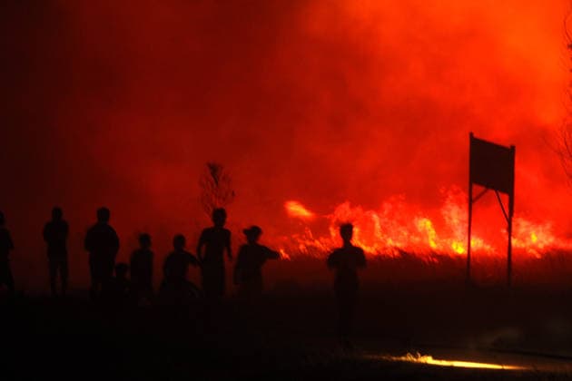 Indonesia, forest fire in South Sumatra