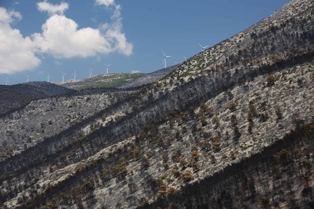 Greece: Damage caused by forest fires in Attica