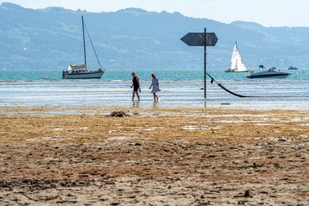 Lake Constance water level hits historic low, archive images