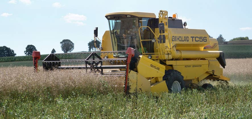 Lower Saxony, rapeseed harvest in Eilensen