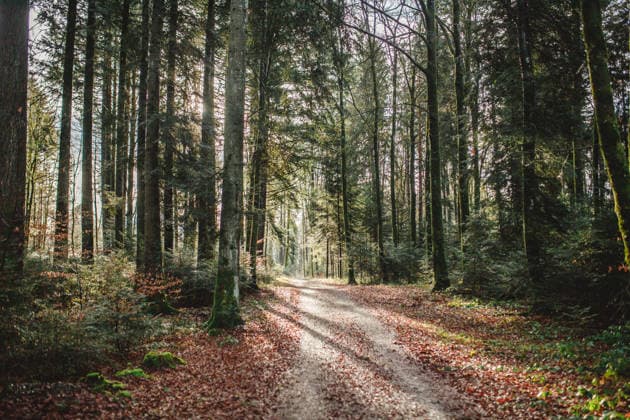 IMAGO Creative, Autumn, Weather
