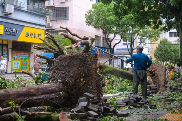 China: Damage caused by Typhoon Dolphin