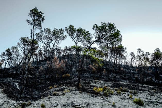 France: Damage caused by forest fires in the Var department