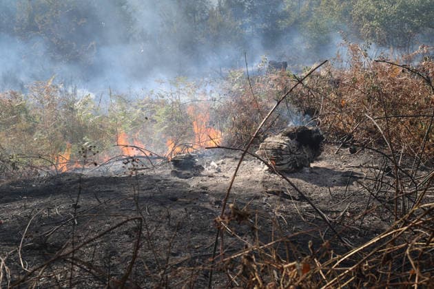 Hesse, forest fire in the Main-Kinzig district