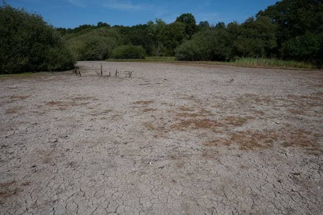 The UK, drought and a heatwave in Epsom