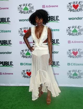 Red Carpet, Free Shakespeare in the Park in New York