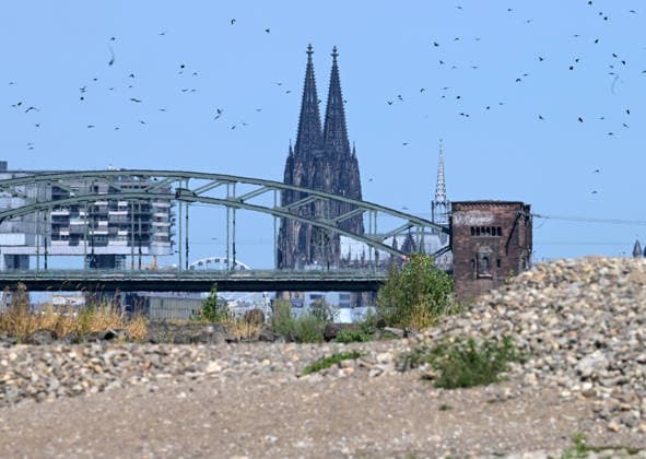 North Rhine-Westphalia, Low water levels in the Rhine in Cologne