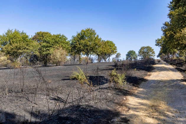 France, forest fire in Saint-Just