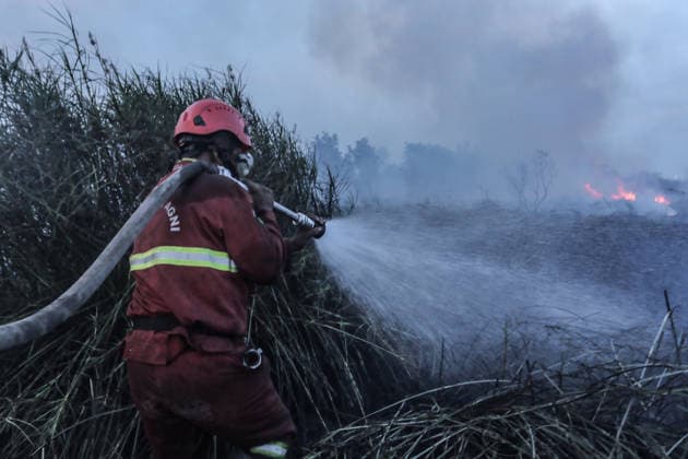 Indonesia, peat fire in South Sumatra near Inderalaya