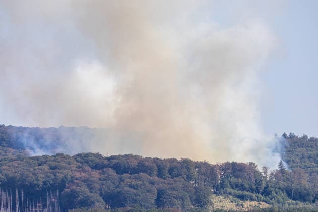 North Rhine-Westphalia, forest fire at Möhnesee