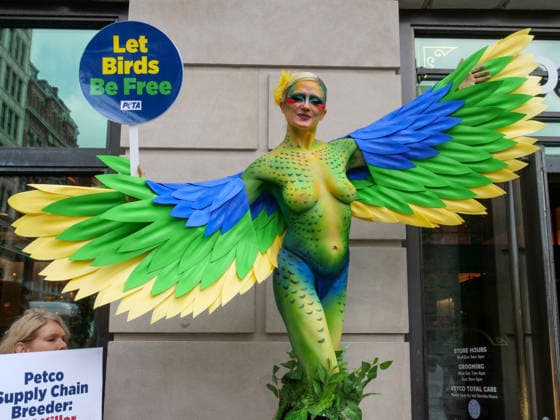 USA, PETA protest in New York
