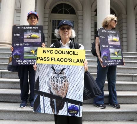 USA: Protests in support of the ‘Lights Out’ legislation in New York