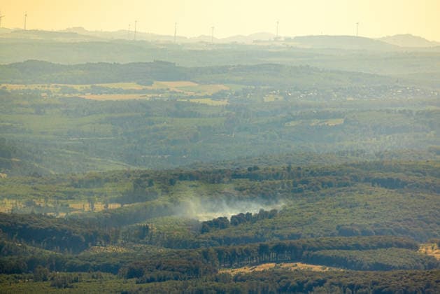 North Rhine-Westphalia, forest fire near Arnsberg in the Sauerland
