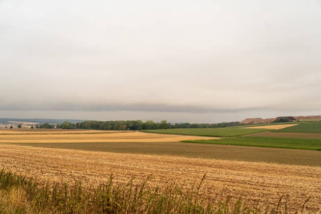 North Rhine-Westphalia, forest fire in Hürtgenwald in the Eifel