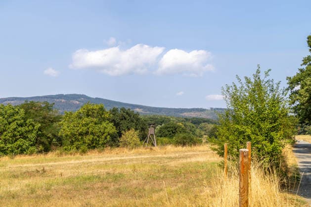 Hesse, parched meadows in front of the Altkönig in the Taunus