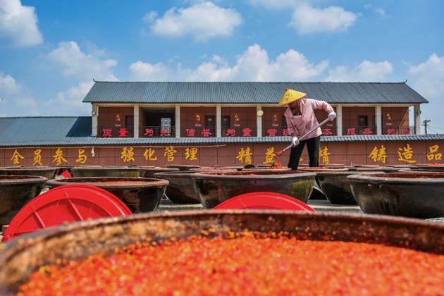 China, chilli sauce production in Shuangfeng