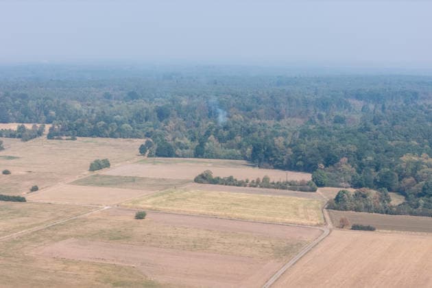 Hesse: Fire brigade extinguishes forest fire near Messel