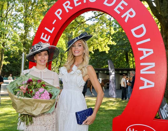 Celebrity, Henkel Diana Prize