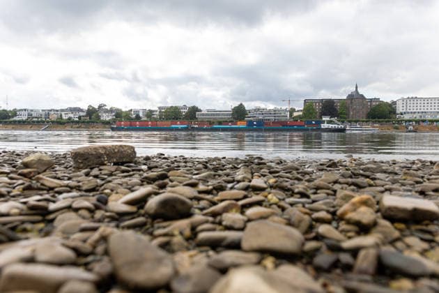 North Rhine-Westphalia, low water levels on the Rhine, impressions from Bonn