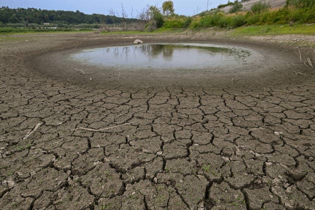 Poland: Drought caused by a heatwave in Zembrzyce
