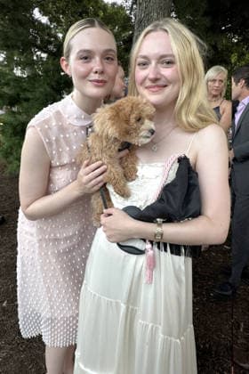 Celebrity, Bow Wow Meow Ball in the Hamptons