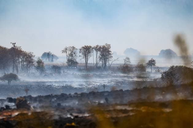 Belgium, forest fires in the High Fens