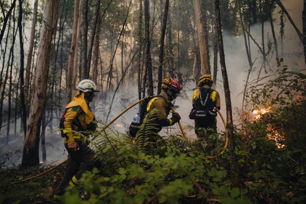 Spain, forest fire near Ponteareas, Galicia