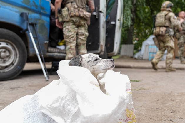 War in Ukraine: Evacuation of civilians from villages east of Kramatorsk