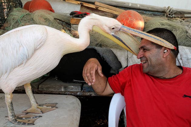 News: Pictures of the Day