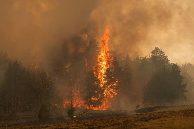Serbia, forest fire near Grebenac