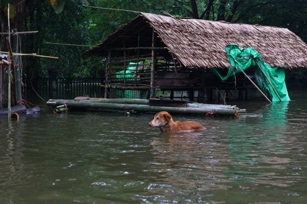 Myanmar, flooding in Ngathaingchaung