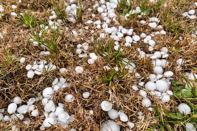 Bavaria, severe weather in the Upper Palatinate