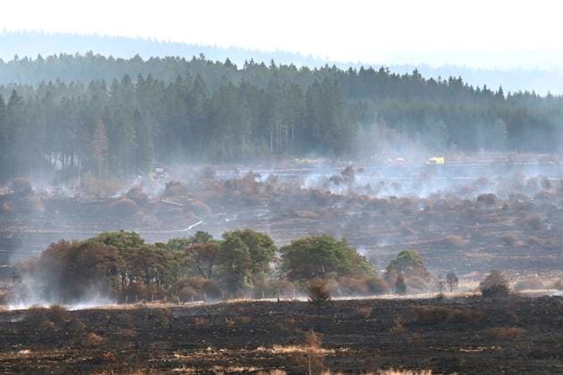 Belgium, forest fires in the Hautes Fagnes
