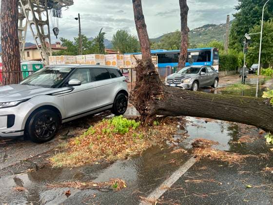 Italy: Severe weather causes damage and fallen trees in Versilia