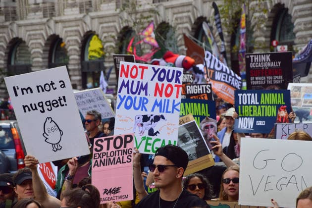 United Kingdom, National Animal Rights March in London
