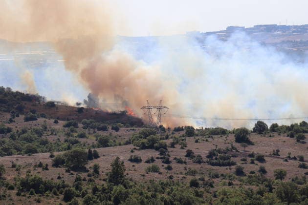 Turkey, wildfire in Kocaeli
